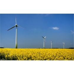 Natürliche Energie